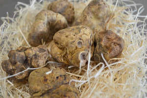 Tartufo Bianco Fresco