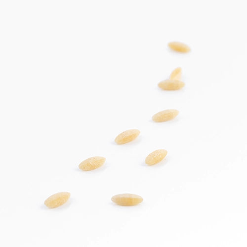 Semi di Annurca di Gragnano di Pastificio dei Campi