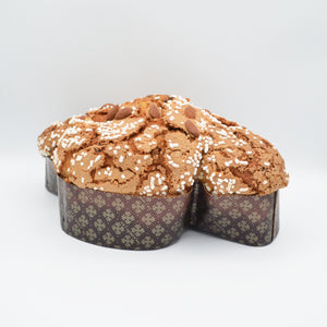 Colomba Pasquale al cioccolato artigianale Pasticceria Gianni Saccone