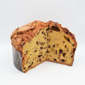 Chocolate panettone